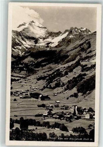 8767 Elm Foto AK Hausstock Foto Elmer