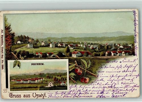 9240 Uzwil 1902 Lithographie Neuheim Kirschen