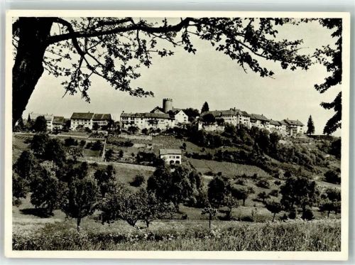 8158 Regensberg Foto AK Foto Wolgensinger