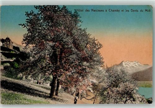 1832 Chamby - Hotel des Narcisses Dent du Midi