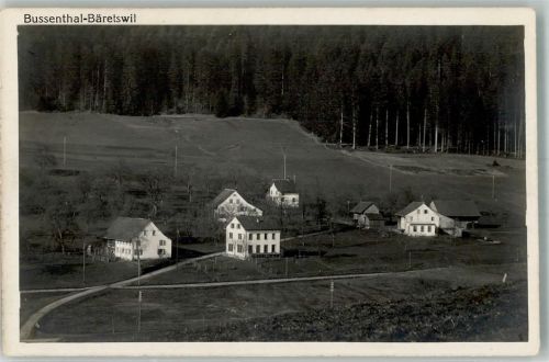 8344 Bäretswil 1923 Foto AK Bussenthal