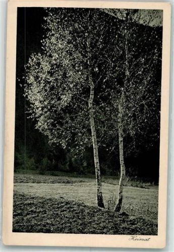 7220 Schiers Foto AK