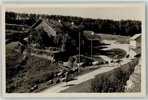 4515 Weissenstein b. Solothurn Gebrauchsspuren Gasthaus Wirtschaft z. Sennhaus Vorderer Weissenstein Kühe