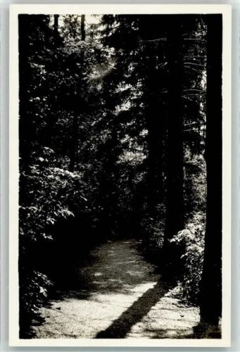 8253 Diessenhofen Foto AK Kurhaus Sanatorium Schloss Rheinburg Gailingen Foto Seidel