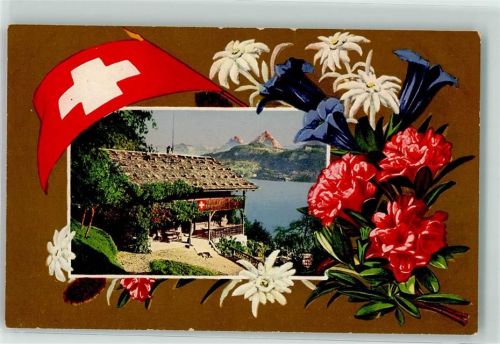 6441 Rütli - Enzial Edelweiss