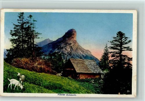 6162 Entlebuch - Föhren Ebnistettenfluh Geissen