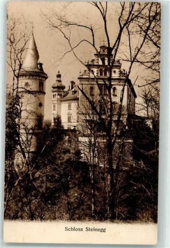 8536 Steinegg TG Hüttwilen 1911 - Schloss