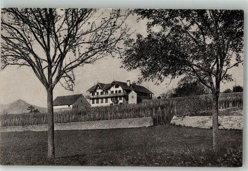 7307 Jenins 1918 Foto AK Gasthaus zur Bündte