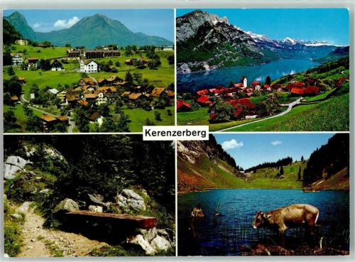 Kerenzerberg - Kuh Filzbach