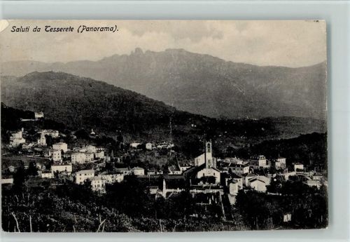 6950 Tesserete 1913 Gebrauchsspuren Vue generale - Verlag Alfredo Finzi AK