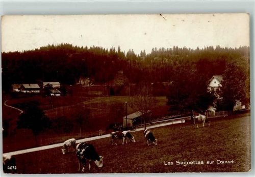 2108 Couvet - Les Sagnettes Kühe