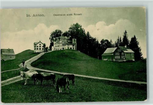 St. Anton Pass 1911 - Gasthaus Zum Rössli Kühe