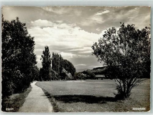 9423 Altenrhein Foto AK Foto Gross