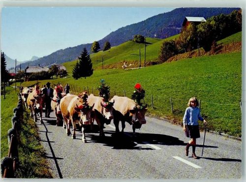 4932 Lotzwil - Alpaufzug