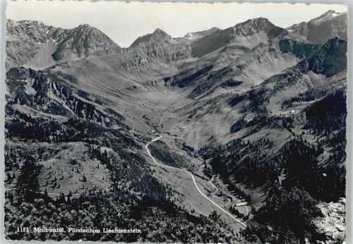 Gorfion - Malbuntal AKU1