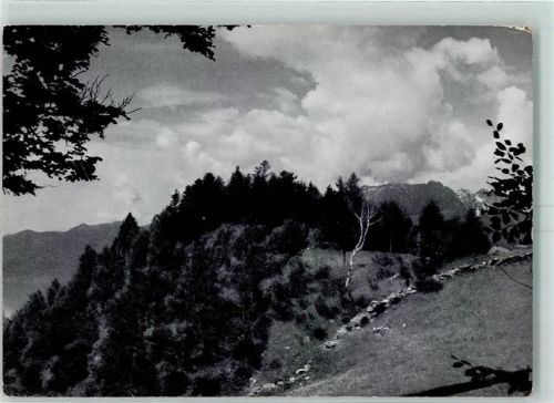 6014 Littau 1958 - Sull Alpe