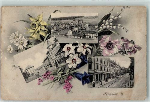 2720 Tramelan 1908 Gebrauchsspuren Enziane Edelweiss