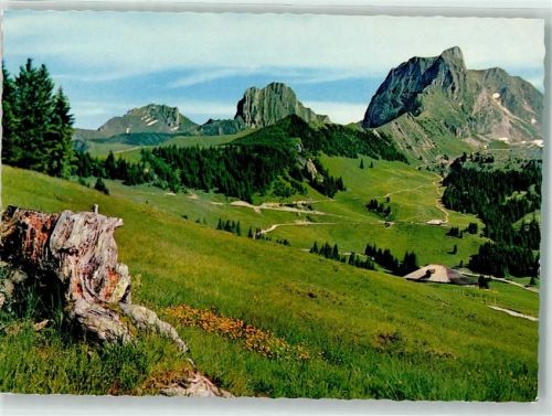 Gantrisch Foto AK Schwefelbergebiet Krummfadenfluh Foto Baur