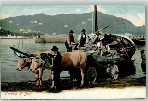 Ochsenkarren Caretta di Bovi
