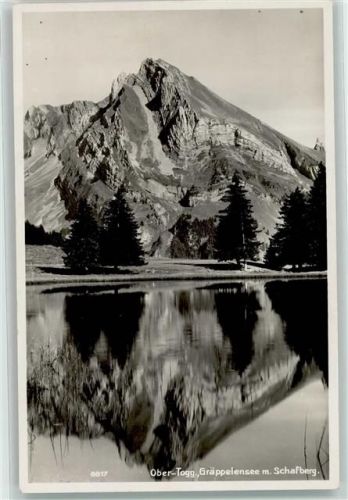 9655 Stein SG - Gräppelensee Schafberg Ober-Togg