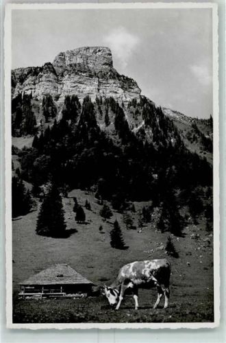 Sigriswiler Rothorn 1936 - Im Justistal Kuh