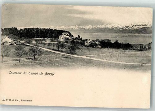 1172 Bougy-Villars Gebrauchsspuren Signal-de-Bougy