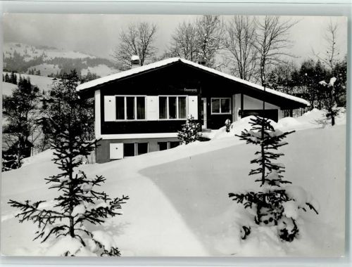 3778 Schönried - Chalet Donnergueg Winter