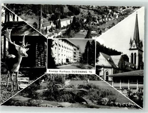 8374 Dussnang Foto AK Kneippkurhaus Hirsch Foto Gross