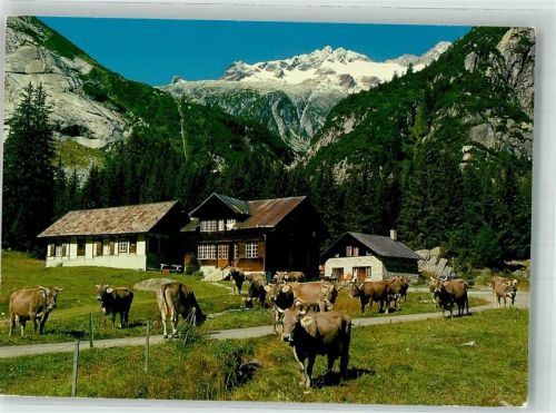 3864 Guttannen 1989 Foto AK Horel Ideal Handeck