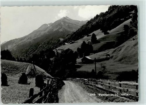 7326 Weisstannen Gebrauchsspuren