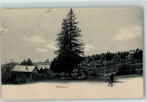 2067 Chaumont 1909 - Tanne