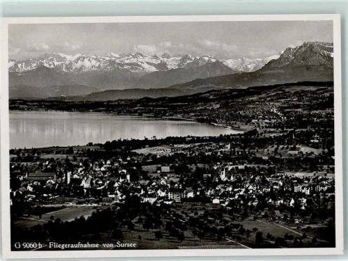 6210 Sursee Gebrauchsspuren Fliegeraufnahme