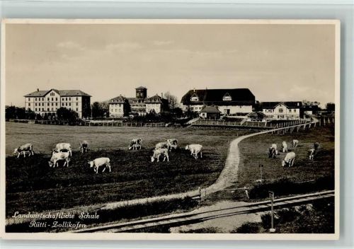 3052 Zollikofen - Landwirtschaftliche Schule Kühe