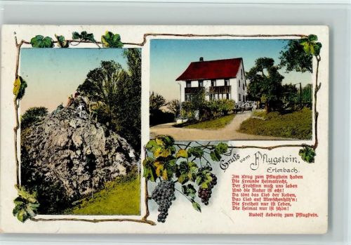 8703 Erlenbach ZH 1919 - Verlag Künzli-Tobler Nr. 4607 - Pflugstein , Pension, AK