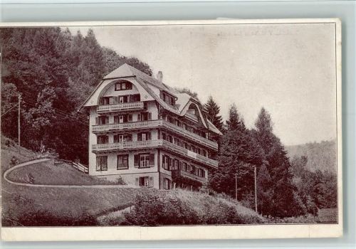 8887 Mels 1920 Gebrauchsspuren Kurhaus Waldheim AK