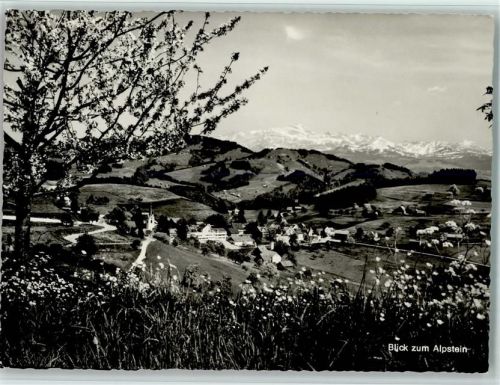 9621 Oberhelfenschwil - Blick zum Alpstein