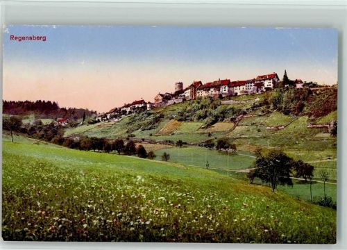 8158 Regensberg - Abendrot