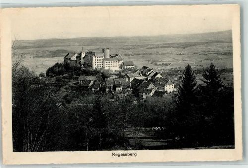 8158 Regensberg 1918 - Schloss