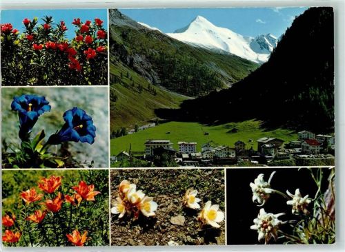 7563 Samnaun Dorf - Muttler Enzian Edelweiss