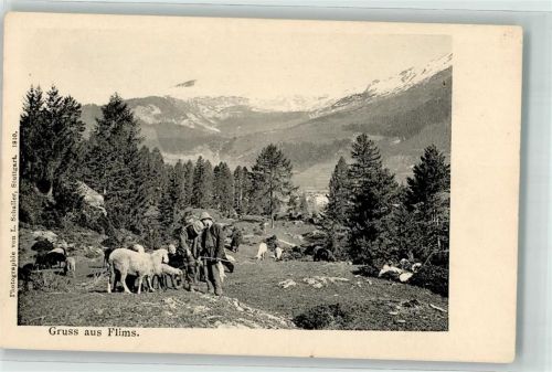 7017 Flims Dorf - Schafe Hirte