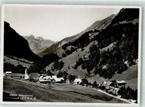 7326 Weisstannen Foto AK Foostock Foto Gross