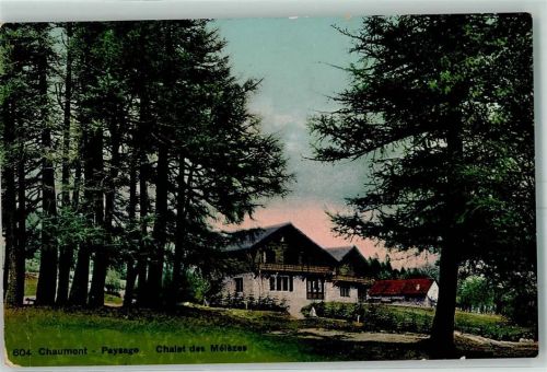 2067 Chaumont Gebrauchsspuren Paysage Chalet des Melezes Feldpost Bataillon 133