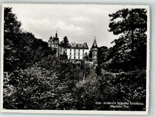 8536 Hüttwilen 1956 Foto AK Schloss Steinegg Kurhaus