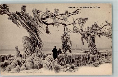 1290 Versoix - Les Effets de la Bise Schnee Winter Eis Eiszapfen