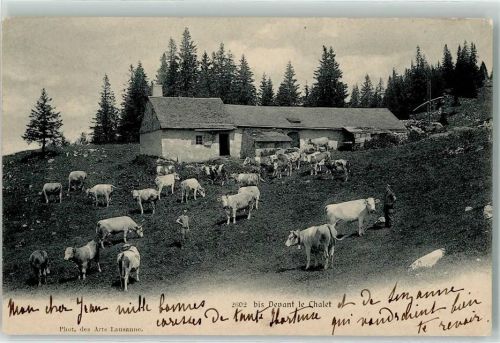 1348 Le Brassus 1906 - Kuhherde auf der Weide Ort lt. Stempel