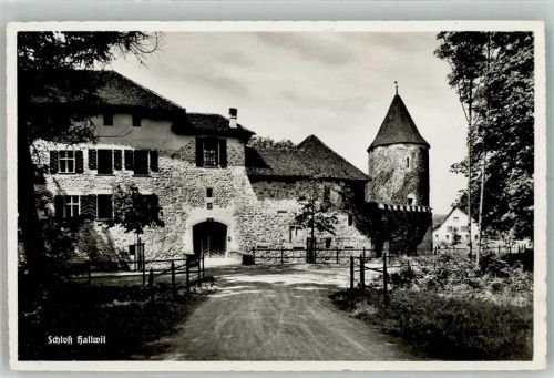 5705 Hallwil Foto AK Schloss