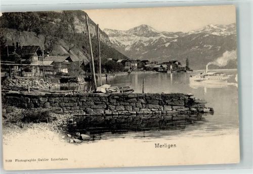 3658 Merligen - DS