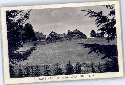 3555 Trubschachen - Nr. 8729