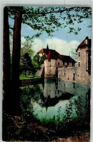 5705 Hallwil Foto AK Schloss