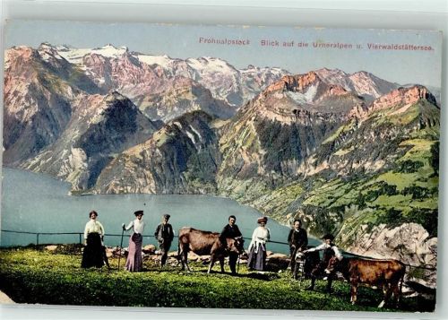 Fronalpstock 1912 - Touristen mit Kühen